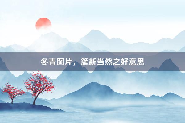 冬青图片，簇新当然之好意思