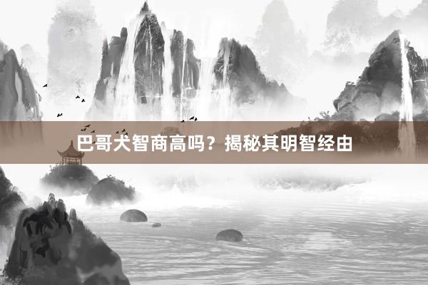 巴哥犬智商高吗？揭秘其明智经由
