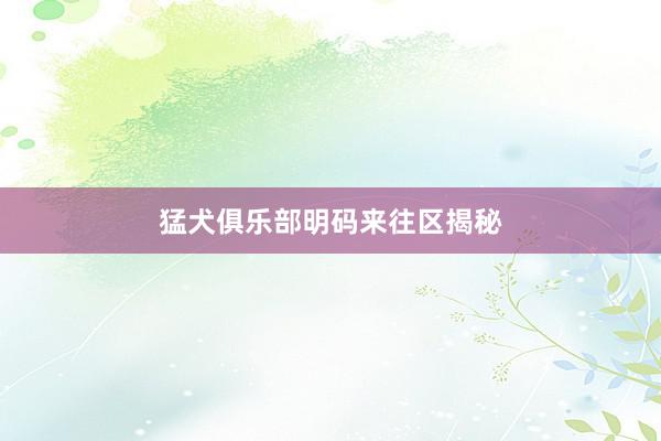 猛犬俱乐部明码来往区揭秘