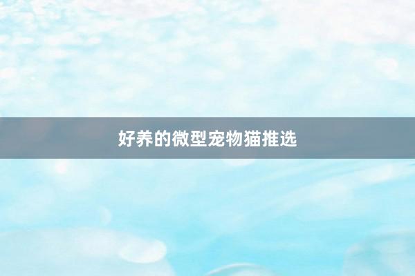 好养的微型宠物猫推选